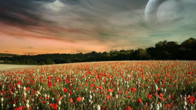 王晶的导演水平是不是被严重高估了？